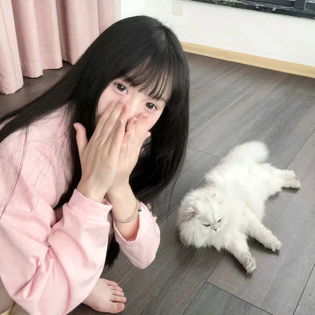 圣诉